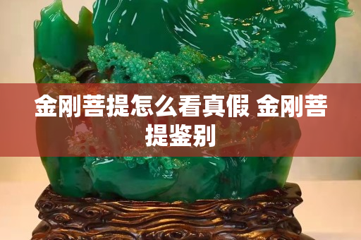 金刚菩提怎么看真假 金刚菩提鉴别