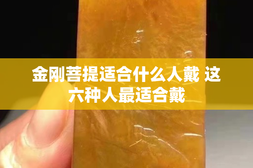 金刚菩提适合什么人戴 这六种人最适合戴