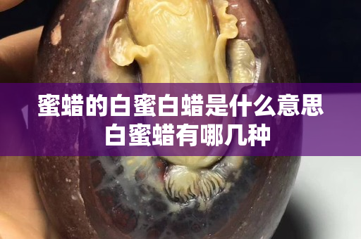 蜜蜡的白蜜白蜡是什么意思  白蜜蜡有哪几种