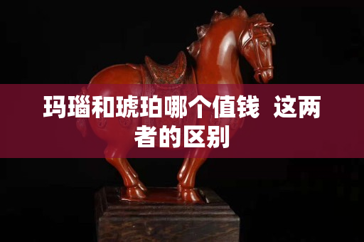 玛瑙和琥珀哪个值钱  这两者的区别