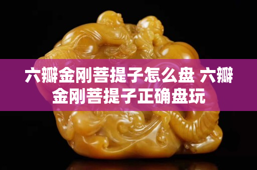 六瓣金刚菩提子怎么盘 六瓣金刚菩提子正确盘玩