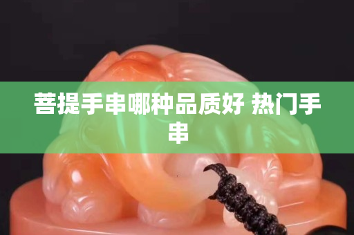 菩提手串哪种品质好 热门手串