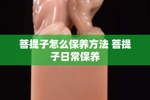 菩提子怎么保养方法 菩提子日常保养