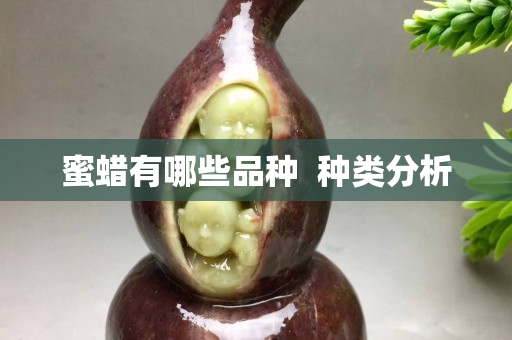蜜蜡有哪些品种  种类分析