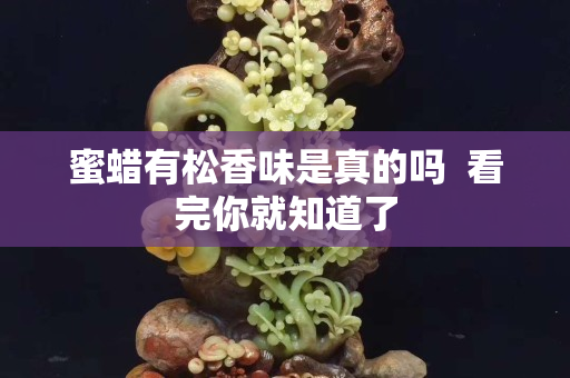 蜜蜡有松香味是真的吗  看完你就知道了