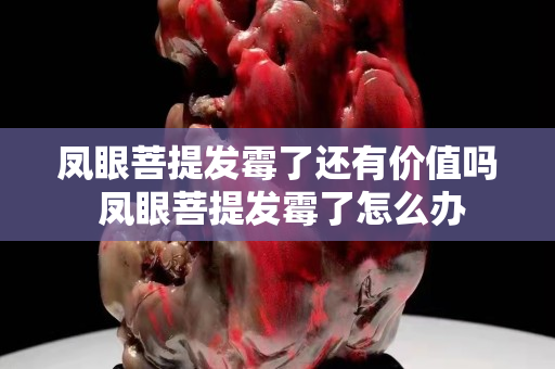 凤眼菩提发霉了还有价值吗 凤眼菩提发霉了怎么办