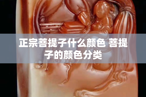 正宗菩提子什么颜色 菩提子的颜色分类