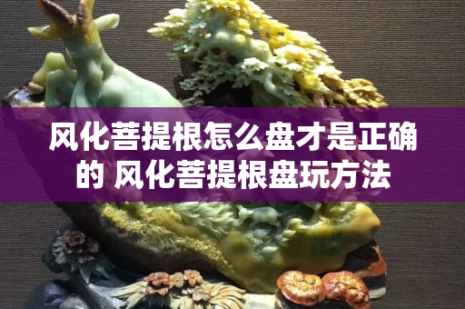 风化菩提根怎么盘才是正确的 风化菩提根盘玩方法