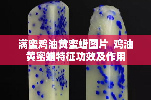满蜜鸡油黄蜜蜡图片  鸡油黄蜜蜡特征功效及作用