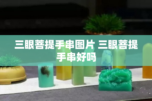 三眼菩提手串图片 三眼菩提手串好吗