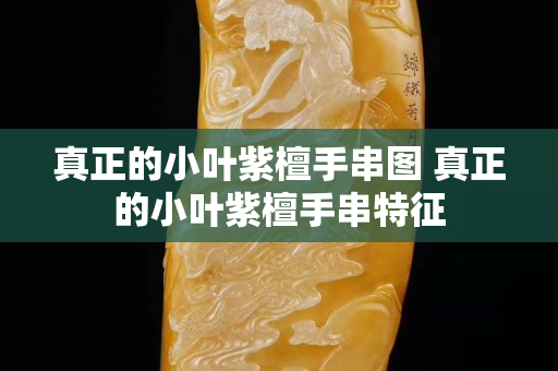 真正的小叶紫檀手串图 真正的小叶紫檀手串特征