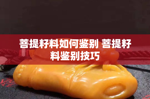 菩提籽料如何鉴别 菩提籽料鉴别技巧