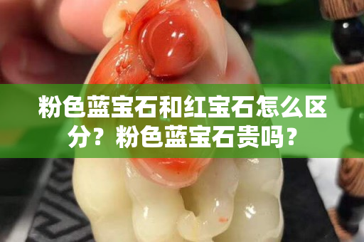 粉色蓝宝石和红宝石怎么区分？粉色蓝宝石贵吗？