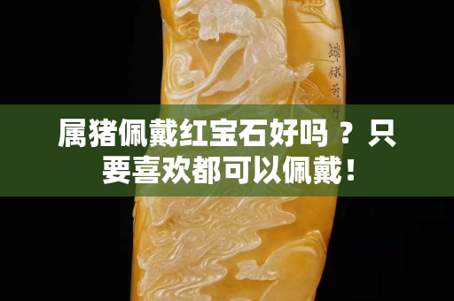 属猪佩戴红宝石好吗 ？只要喜欢都可以佩戴！