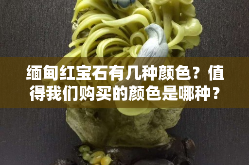 缅甸红宝石有几种颜色？值得我们购买的颜色是哪种？