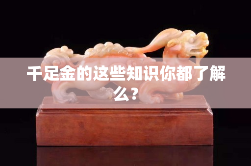 千足金的这些知识你都了解么？
