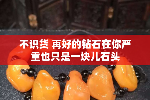 不识货 再好的钻石在你严重也只是一块儿石头
