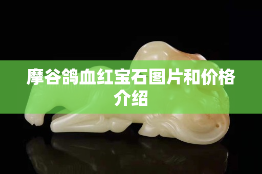 摩谷鸽血红宝石图片和价格介绍
