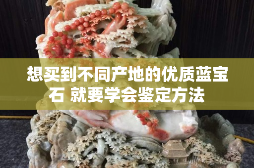 想买到不同产地的优质蓝宝石 就要学会鉴定方法