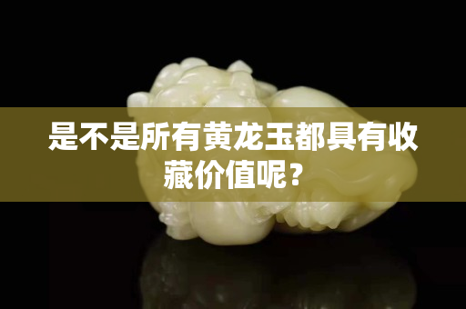 是不是所有黄龙玉都具有收藏价值呢？