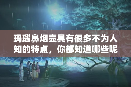 玛瑙鼻烟壶具有很多不为人知的特点，你都知道哪些呢？