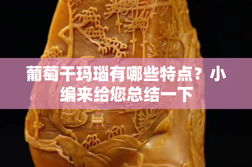 葡萄干玛瑙有哪些特点？小编来给您总结一下