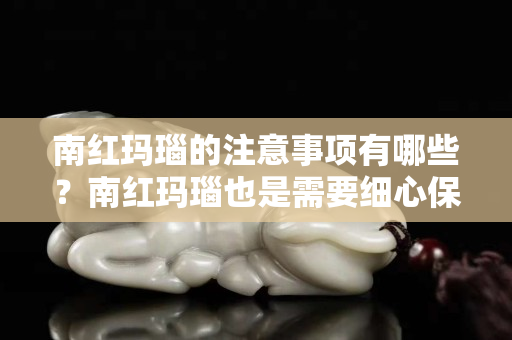 南红玛瑙的注意事项有哪些？南红玛瑙也是需要细心保养的哦