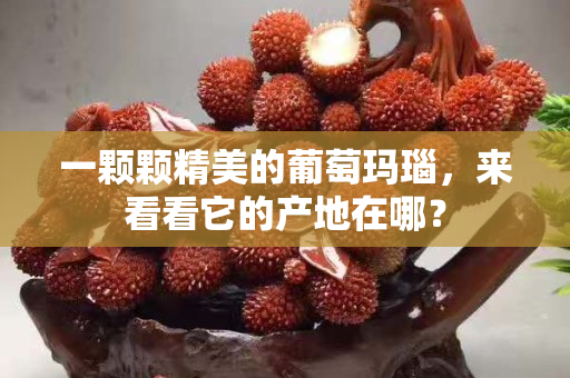 一颗颗精美的葡萄玛瑙，来看看它的产地在哪？