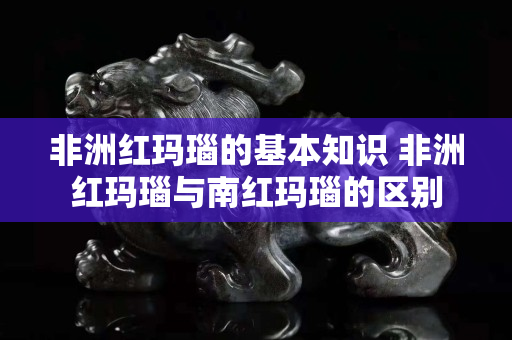 非洲红玛瑙的基本知识 非洲红玛瑙与南红玛瑙的区别