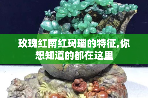 玫瑰红南红玛瑙的特征,你想知道的都在这里