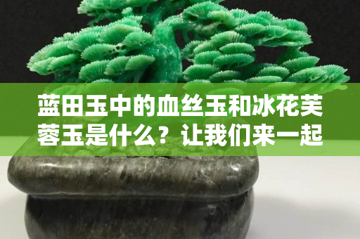 蓝田玉中的血丝玉和冰花芙蓉玉是什么？让我们来一起了解一番