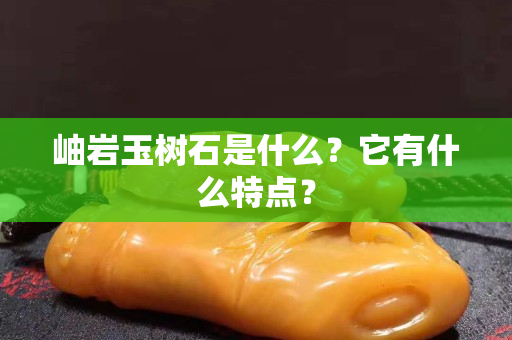 岫岩玉树石是什么？它有什么特点？