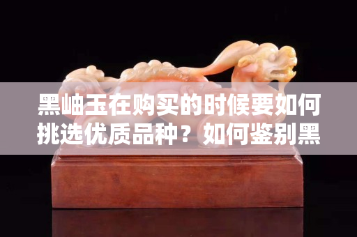 黑岫玉在购买的时候要如何挑选优质品种？如何鉴别黑岫玉的真假？