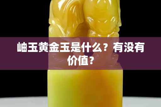 岫玉黄金玉是什么？有没有价值？