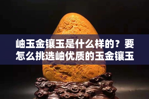 岫玉金镶玉是什么样的？要怎么挑选岫优质的玉金镶玉？