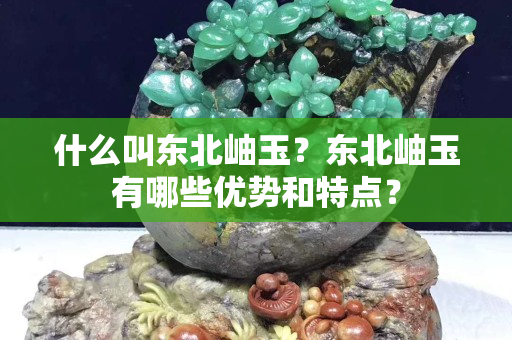 什么叫东北岫玉？东北岫玉有哪些优势和特点？