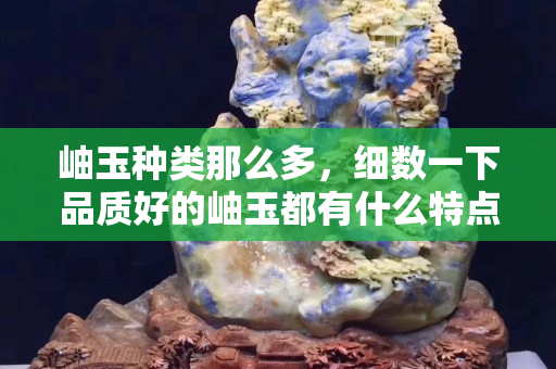 岫玉种类那么多，细数一下品质好的岫玉都有什么特点？
