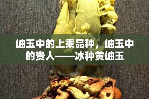 岫玉中的上乘品种，岫玉中的贵人——冰种黄岫玉