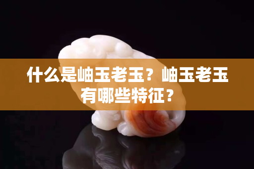 什么是岫玉老玉？岫玉老玉有哪些特征？