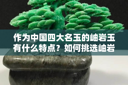 作为中国四大名玉的岫岩玉有什么特点？如何挑选岫岩玉饰品？