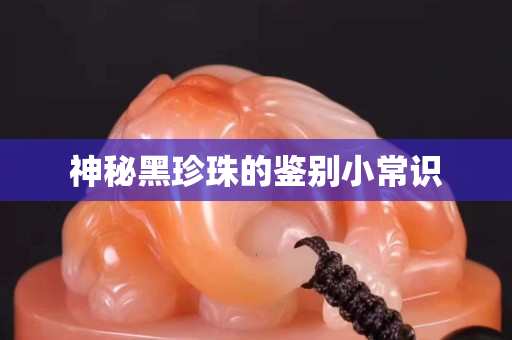 神秘黑珍珠的鉴别小常识