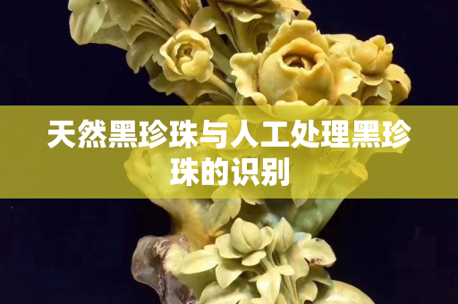 天然黑珍珠与人工处理黑珍珠的识别