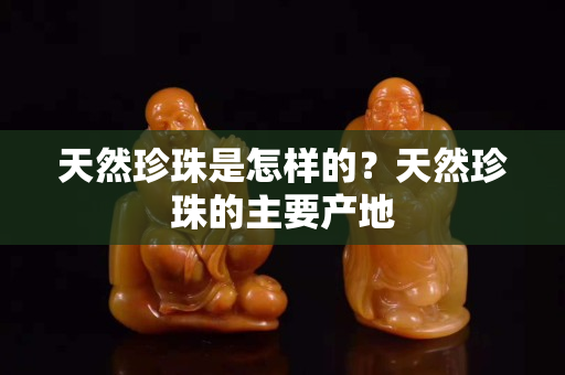 天然珍珠是怎样的？天然珍珠的主要产地