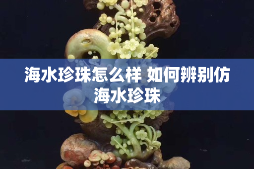 海水珍珠怎么样 如何辨别仿海水珍珠