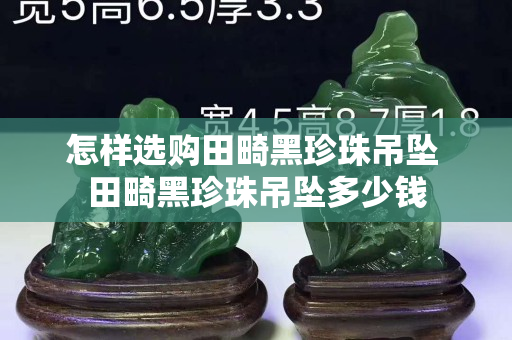 怎样选购田畸黑珍珠吊坠 田畸黑珍珠吊坠多少钱