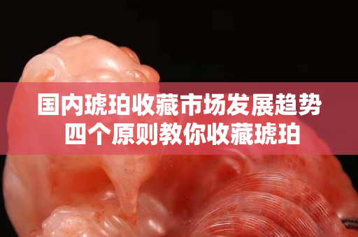国内琥珀收藏市场发展趋势 四个原则教你收藏琥珀