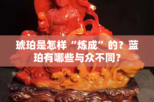 琥珀是怎样“炼成”的？蓝珀有哪些与众不同？