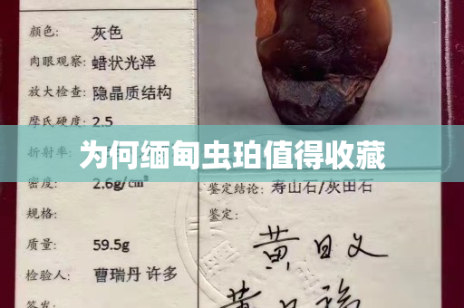 为何缅甸虫珀值得收藏