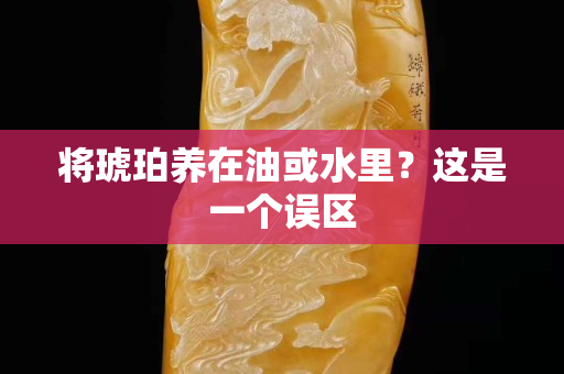将琥珀养在油或水里？这是一个误区