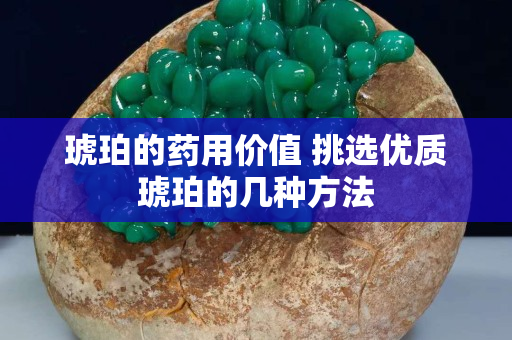 琥珀的药用价值 挑选优质琥珀的几种方法